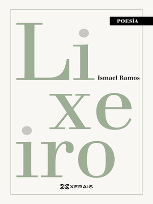 cover image of Lixeiro